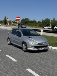 Peugeot 206, 2004
