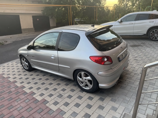 Peugeot 206, 2004
